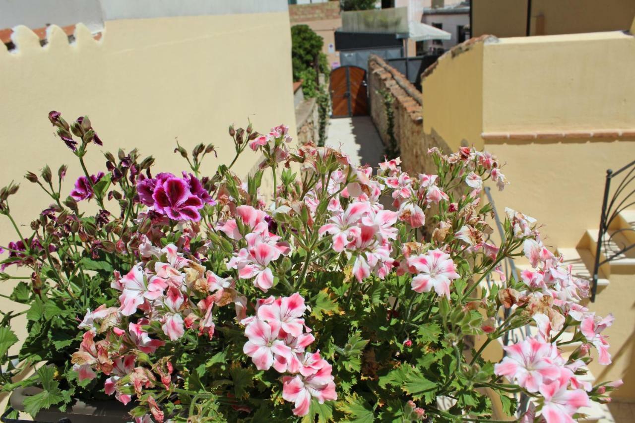 Ogliastra Luxury Apartment - Ajpsardinia ตอร์โตลี ภายนอก รูปภาพ